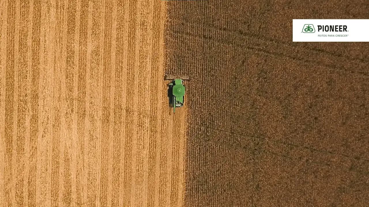 Pioneer — frame 2